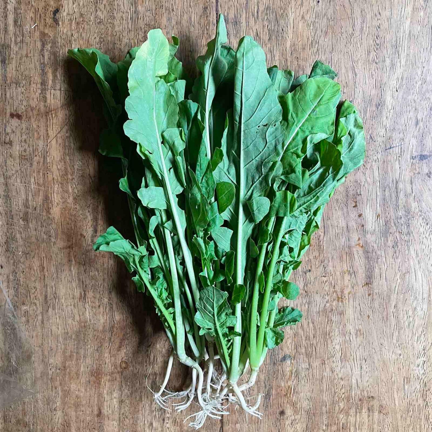 Arugula - Good Food Community